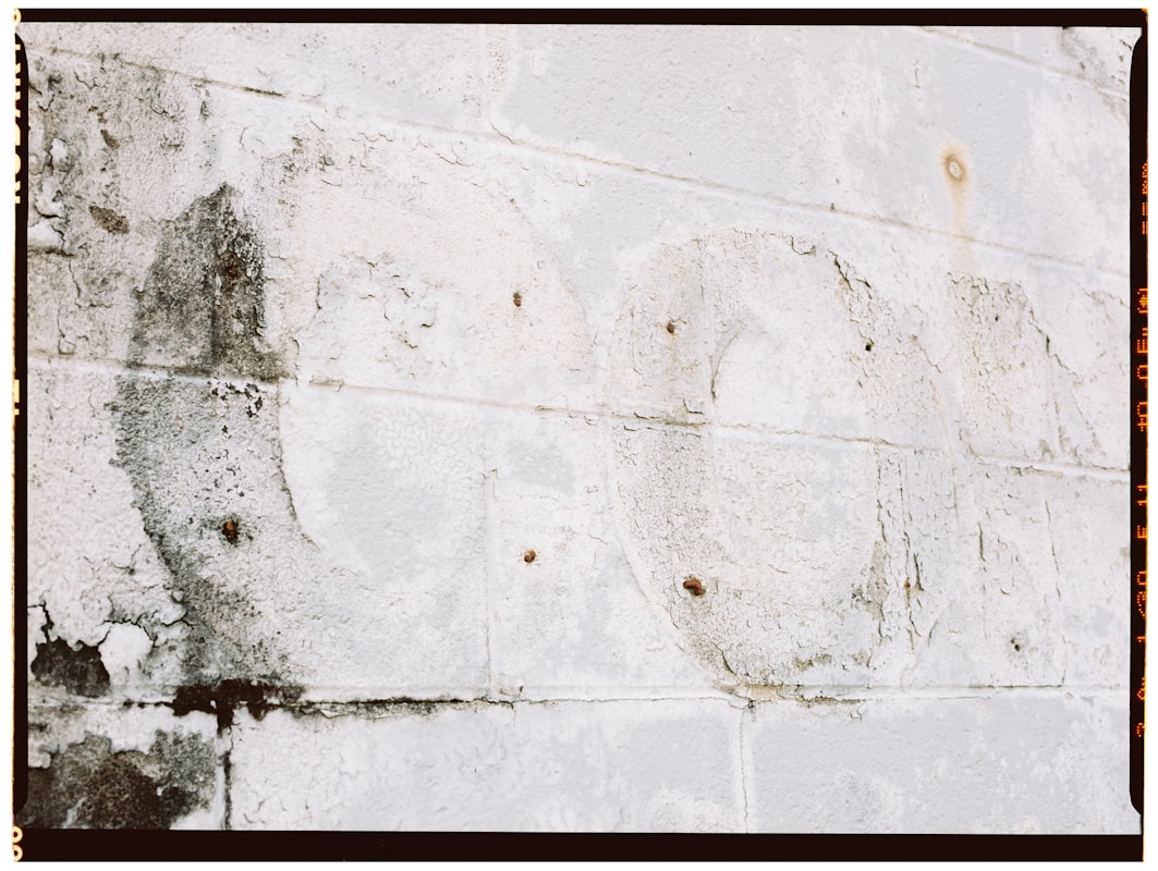 Mold Remediation service in Summerville, SC